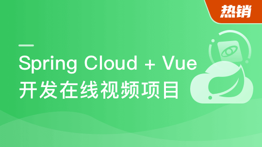 Spring Cloud+Vue前后端分离开发企业级在线视频系统