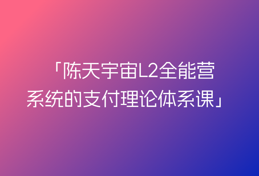 陈天宇宙L2全能营,系统的支付理论体系课
