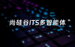 尚硅谷ITS多智能体